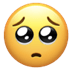 :pleading_face: :pleading_face: