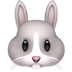 :rabbit: :rabbit: