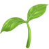 :seedling: :seedling: